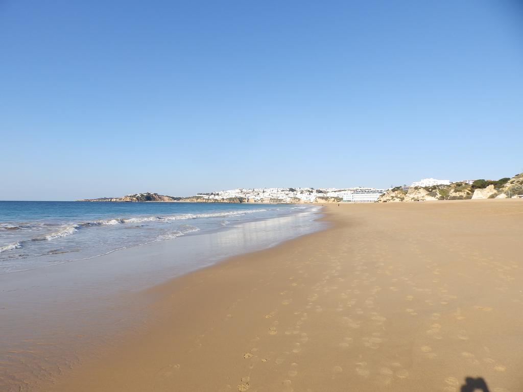 Alta Oura *